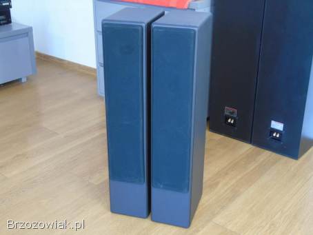 Kolumny IQ Gent 505 Perlless i Vify świetne stereo.  DOSTAWA.
