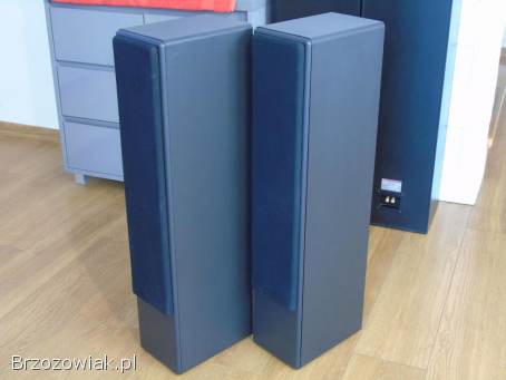 Kolumny IQ Gent 505 Perlless i Vify świetne stereo.  DOSTAWA.