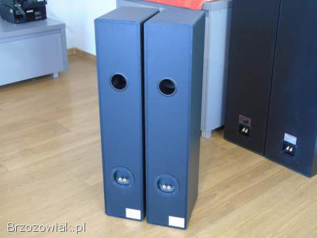 Kolumny IQ Gent 505 Perlless i Vify świetne stereo.  DOSTAWA.