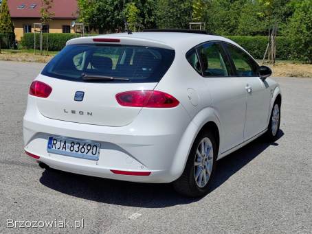 Seat Leon 2 2010