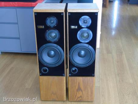 Kolumny TSM 6000 świetne stereo.  DOSTAWA.
