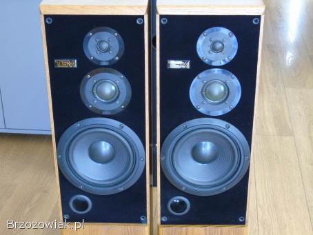 Kolumny TSM 6000 świetne stereo.  DOSTAWA.