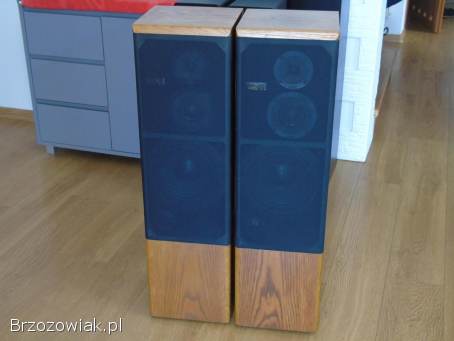 Kolumny TSM 6000 świetne stereo.  DOSTAWA.