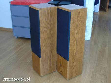 Kolumny TSM 6000 świetne stereo.  DOSTAWA.