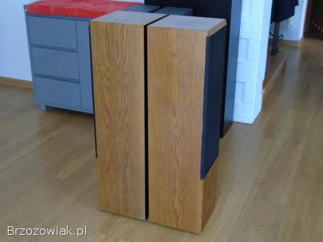 Kolumny TSM 6000 świetne stereo.  DOSTAWA.