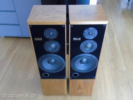 Kolumny TSM 6000 świetne stereo.  DOSTAWA.