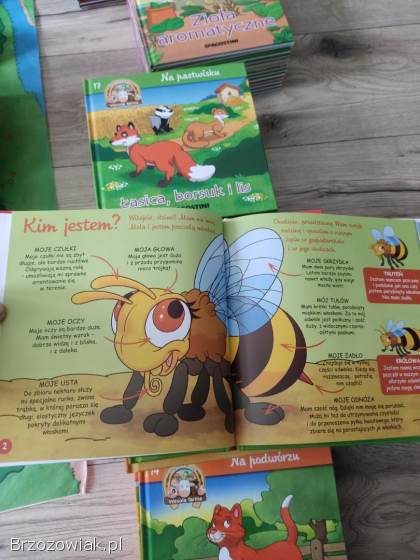 Książki wesoła farma DeAgostini