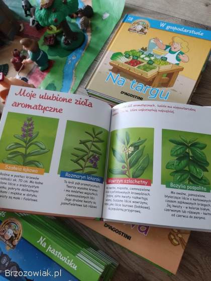 Książki wesoła farma DeAgostini