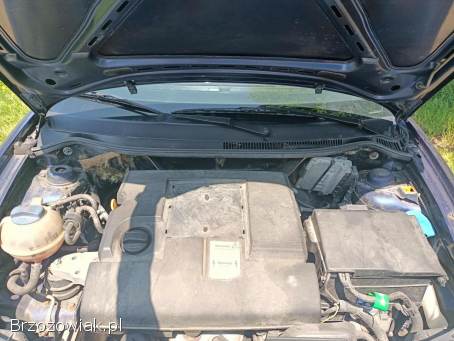 Seat Ibiza 1.  2 02r 2002
