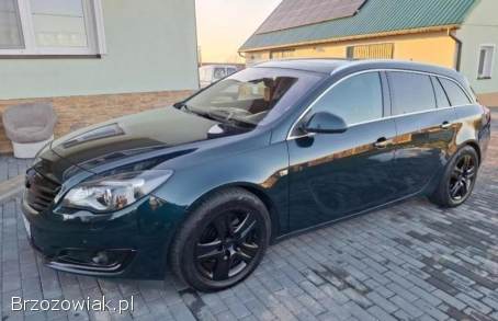 Opel Insignia Sports tourer 2013