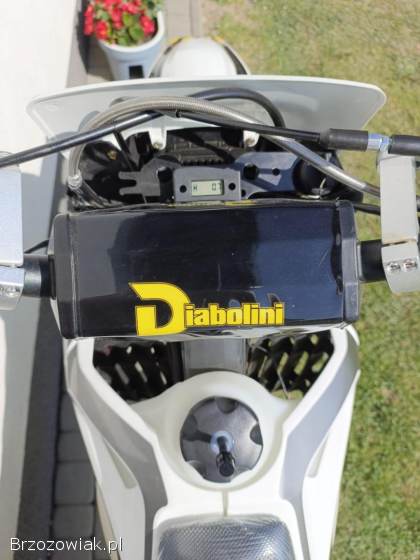 Diabolini X5 Nowy Cross  2000