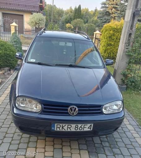 Volkswagen Golf IV 2002