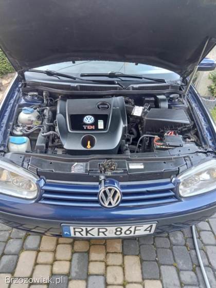 Volkswagen Golf IV 2002