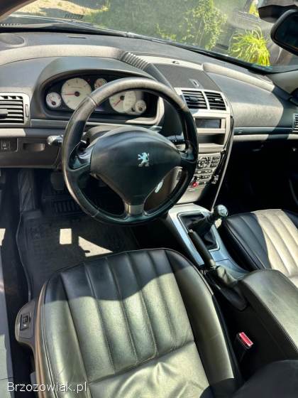 Peugeot 407 2006