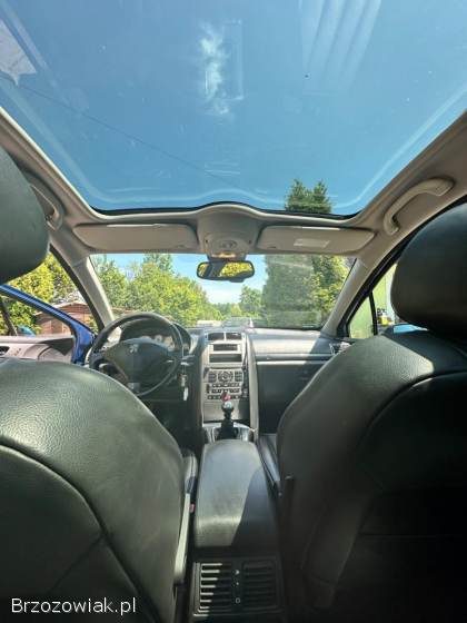 Peugeot 407 2006