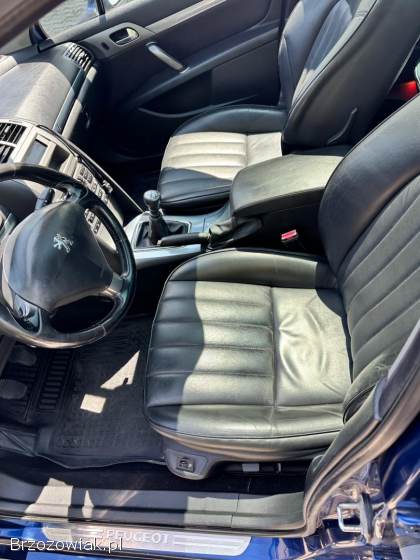 Peugeot 407 2006