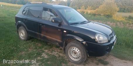 Hyundai Tucson Suv 2005