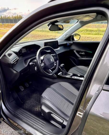 Peugeot 2008 2021