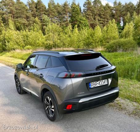 Peugeot 2008 2021
