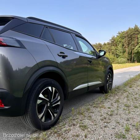Peugeot 2008 2021