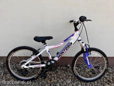 Rower dziecięcy Monteria 20” / Aluminium / Shimano 6b / Wysyłka