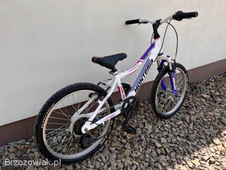 Rower dziecięcy Monteria 20” / Aluminium / Shimano 6b / Wysyłka