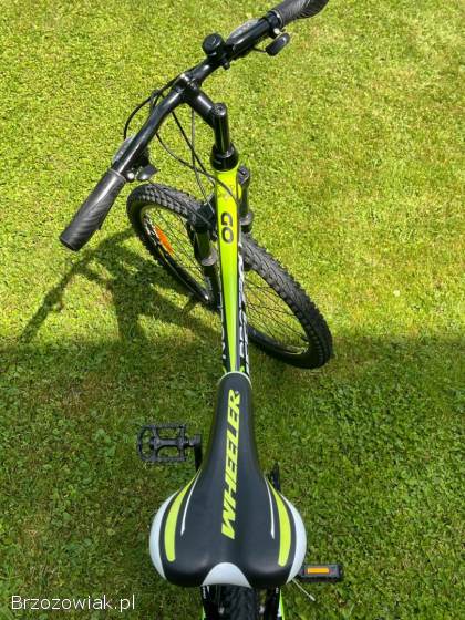 Rower