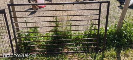 Przęsła ogrodzeniowe