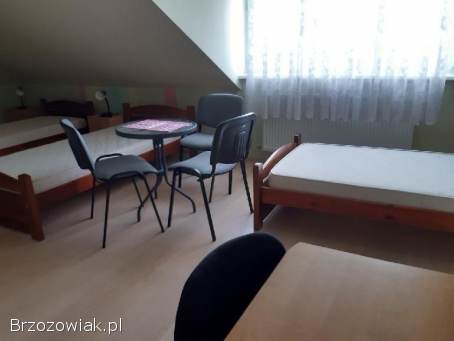 Mieszkanie dla studentów