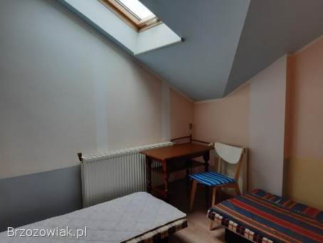 Mieszkanie dla studentów