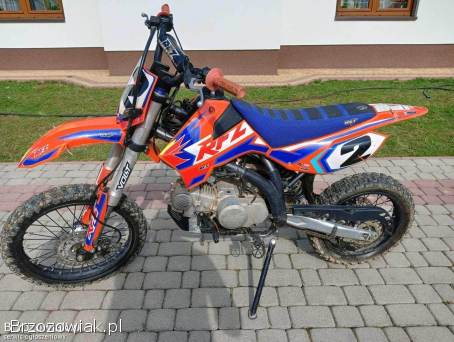 Apollo RFZ 2022