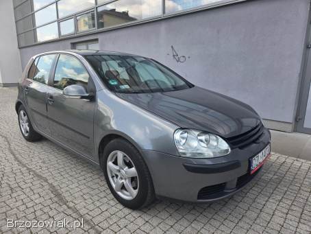 Volkswagen Golf 1.  4 benzyna  2005