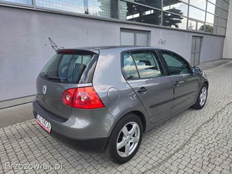 Volkswagen Golf 1.  4 benzyna  2005