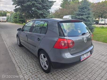 Volkswagen Golf 1.  4 benzyna  2005