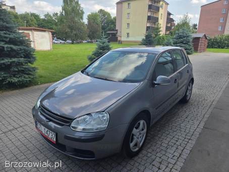Volkswagen Golf 1.  4 benzyna  2005