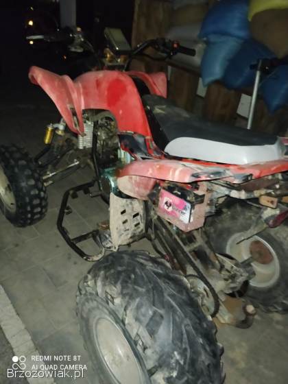 2010 bashan 250