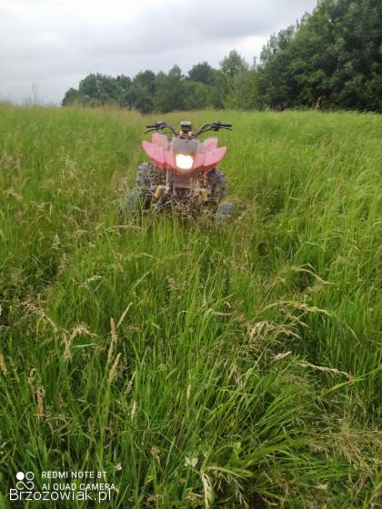 2010 bashan 250