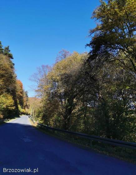Trepcza działka leśna nad Sanem