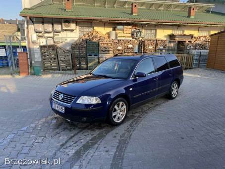 Volkswagen Passat 4motion 4x4 2001