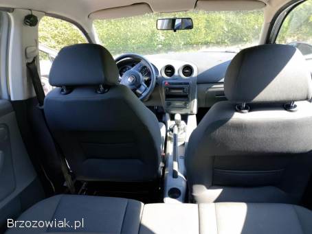 Seat Ibiza 2006