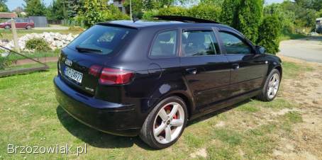 Audi A3 8P 2007