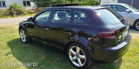 Audi A3 8P 2007