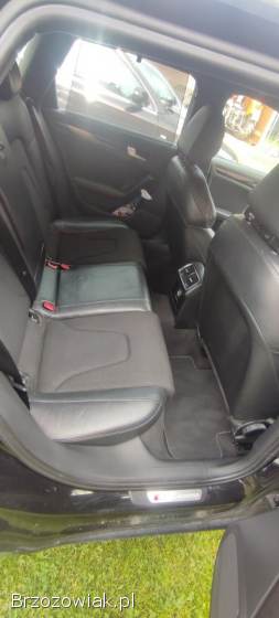 Audi A4 Caga 2010