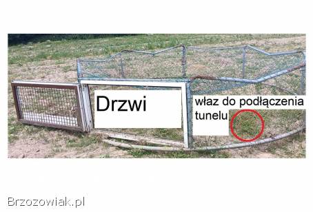 Kojec,  wybieg mobilny dla kur z drzwiami,  12m2 tunel
