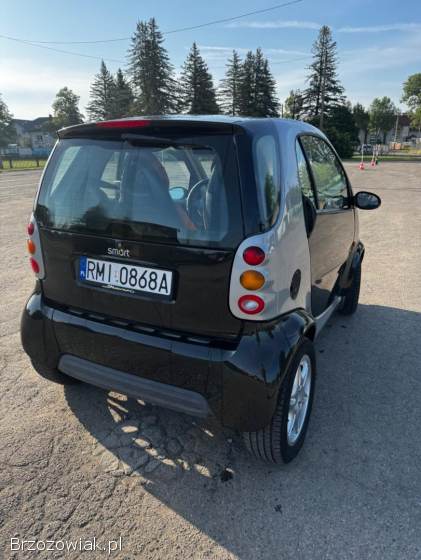 Smart Micro 1999