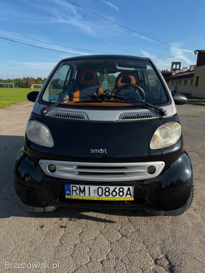 Smart Micro 1999