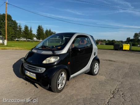 Smart Micro 1999
