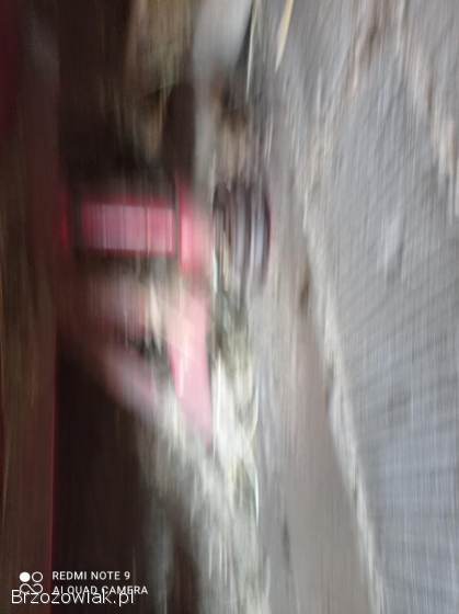 Dmuchawa