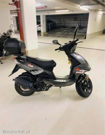 Generic Sirion 2017