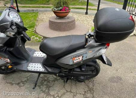 Generic Sirion 2017